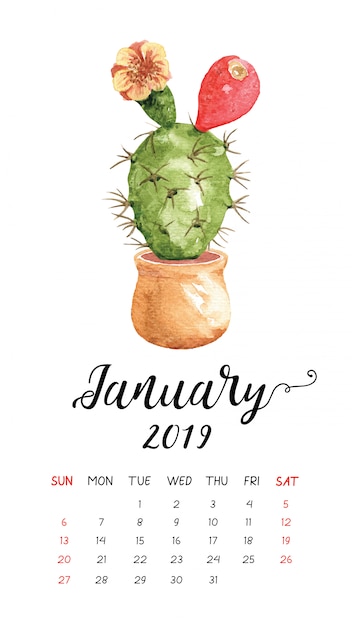 Aquarel cactuskalender voor januari 2019.