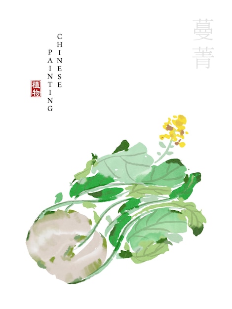 Aquarel chinese inkt verf kunst illustratie natuur plant uit the book of songs raap.