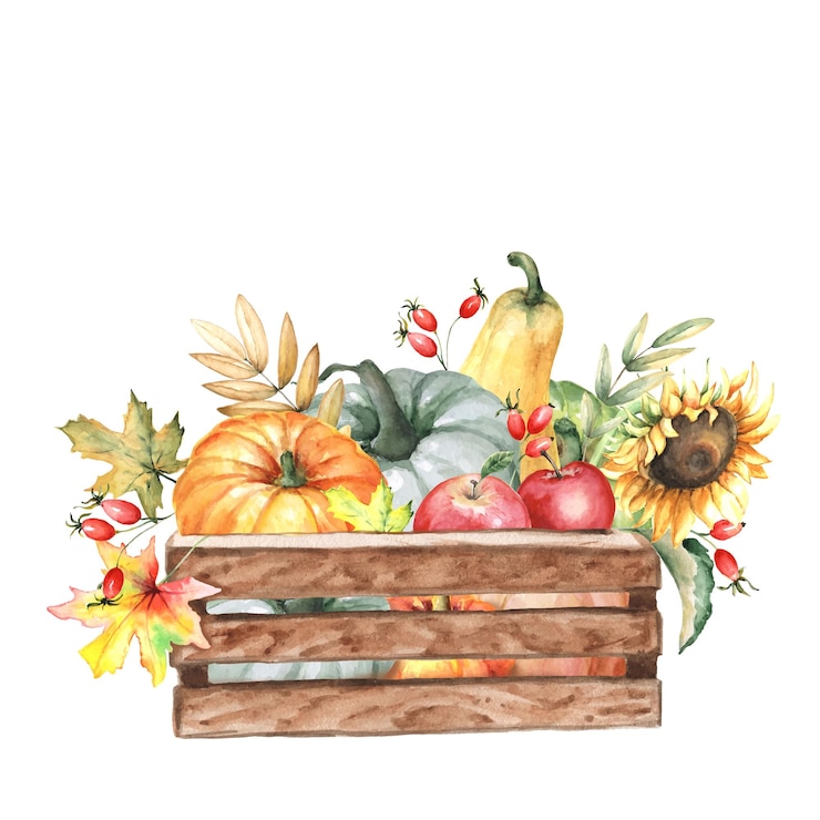 Vector aquarel compositie rustieke oogst pompoenen