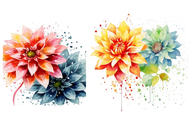 Aquarel dahlia bloemen Vector