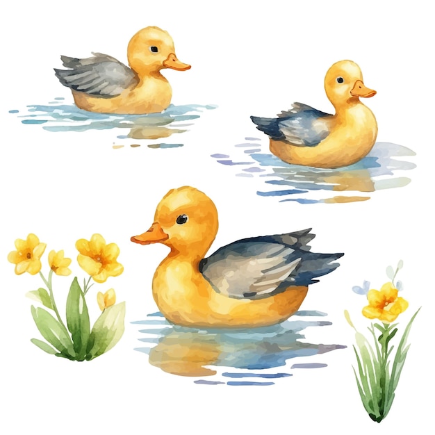 aquarel eend illustratie clipart