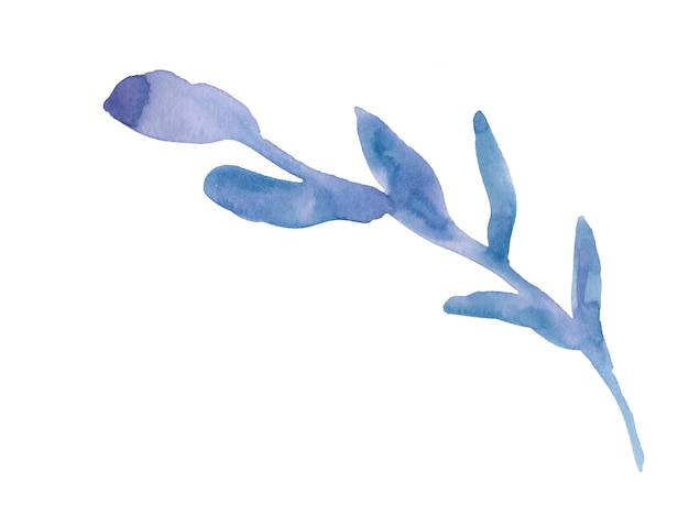 Aquarel enkele bloem met de hand getekend Botanische illustratie Met de hand getekende plant voor decoratie