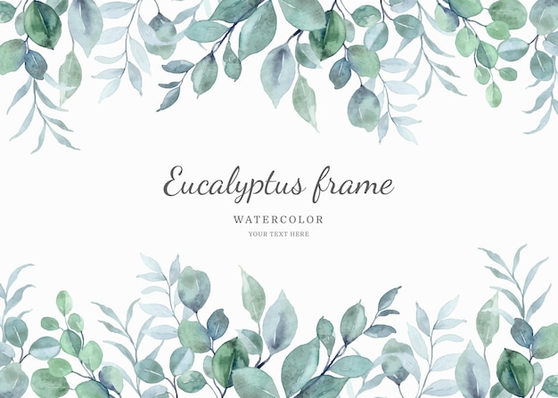 Aquarel eucalyptus blad frame achtergrond