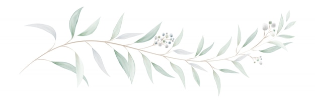 Aquarel eucalyptus bladeren en takken