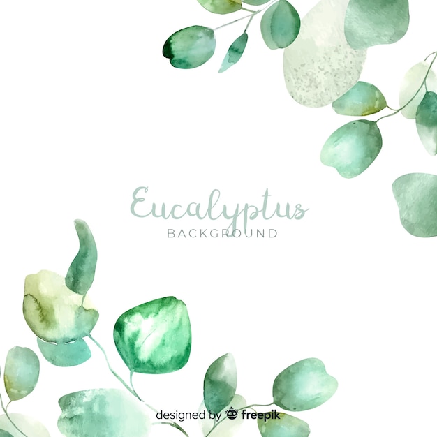 Aquarel eucalyptus laat achtergrond