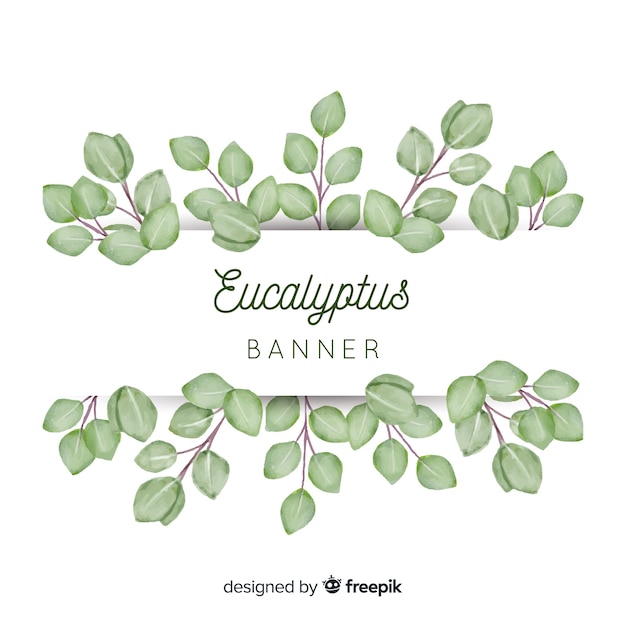 Aquarel eucalyptus verlaat banner