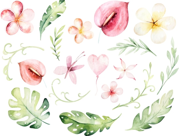 Aquarel exotische tropische bloemen set elementen