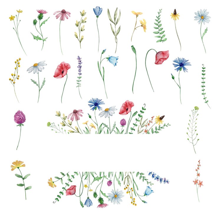 Vector aquarel frame met wilde bloemen zomer bloemen