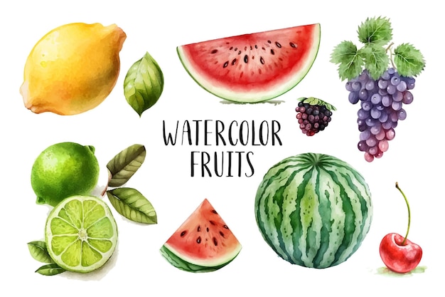 Aquarel geschilderd collectie van fruit Hand getrokken vers voedsel ontwerpelementen geïsoleerd op een witte achtergrond