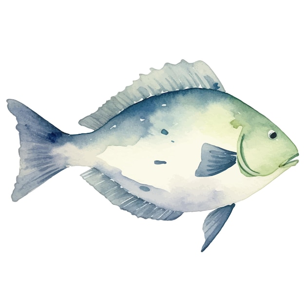 Aquarel geschilderde vis Met de hand getekend vers zeevruchten ontwerp element geïsoleerd op witte achtergrond