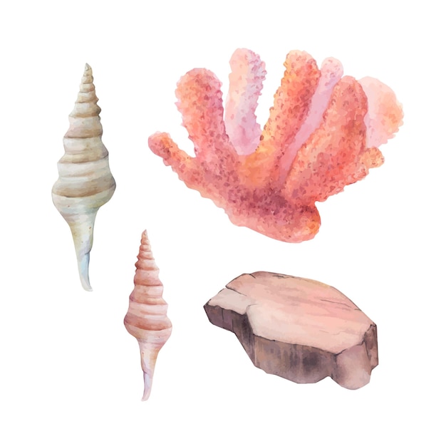 Aquarel getekend set van koraal kegel schelpen en een steen op witte achtergrond roze koraal en geslepen