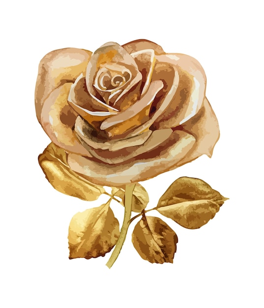 Aquarel gouden roos bloemenboeket geïsoleerd op witte achtergrond Aquarel bloem collectie