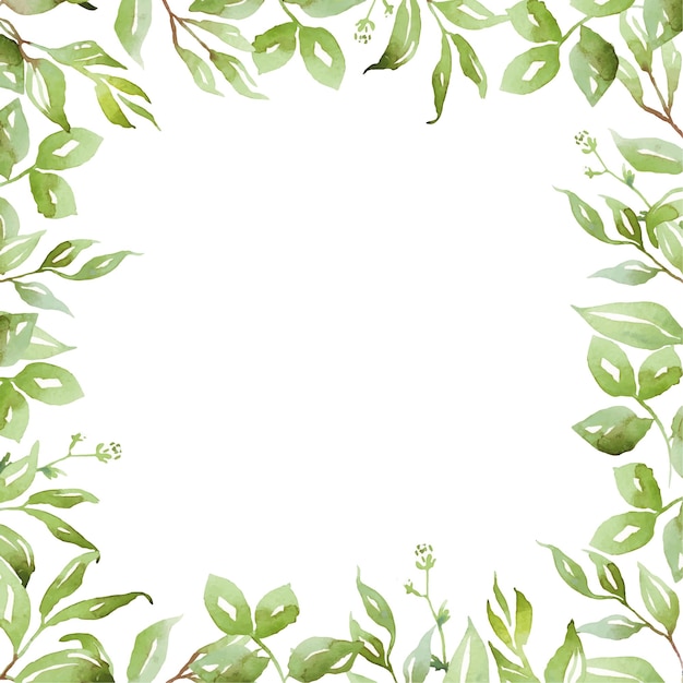 Aquarel groen frame Vector