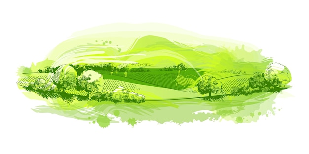 Vector aquarel groen veld landschap op kleine heuvel vector weidegras natuur weiland boerderij landelijk landschap landschap panorama van weiden op het platteland