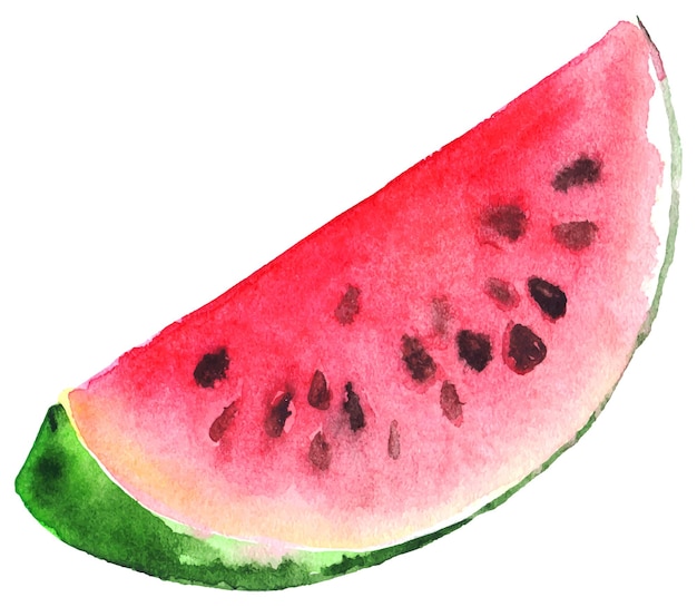 Aquarel groene rode watermeloen sappige plak geïsoleerde vector