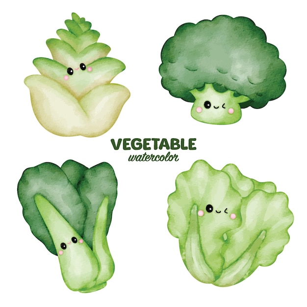 Vector aquarel groente clip art element schattig karakter broccoli luttuce kool