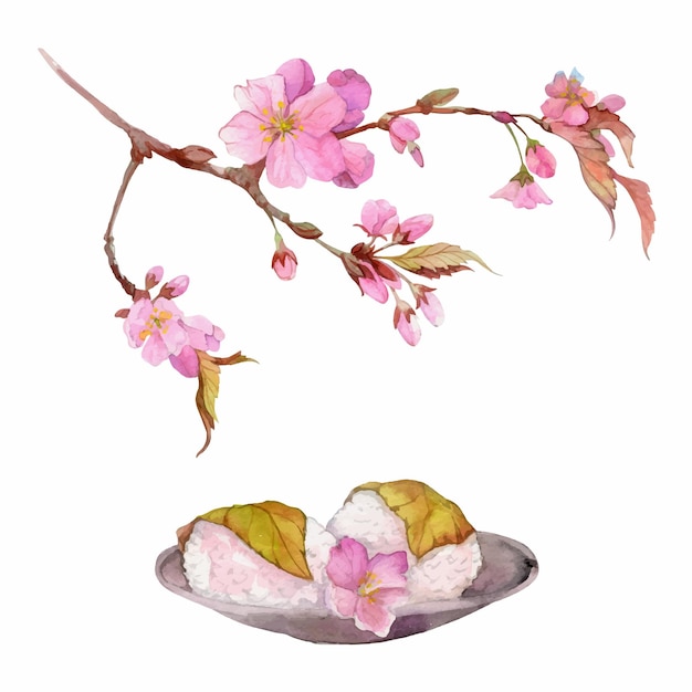 Aquarel hand getekende traditionele Japanse zoetigheden lente wagashi sakura mochi daifuku kers geïsoleerd op witte achtergrond ontwerp voor uitnodigingen restaurant menu wenskaarten print textiel