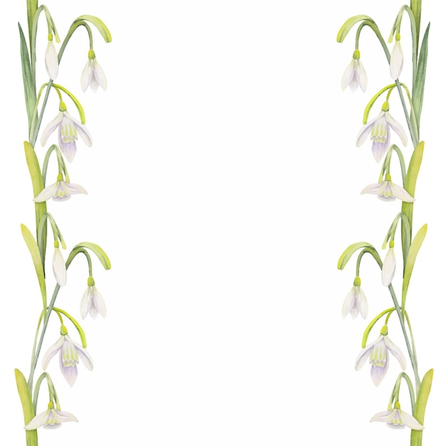 Vector aquarel hand getrokken naadloze grens met lente bloemen narcissen krokus sneeuwklokjes geïsoleerd op witte achtergrond ontwerp voor uitnodigingen bruiloft wenskaarten behang print textiel
