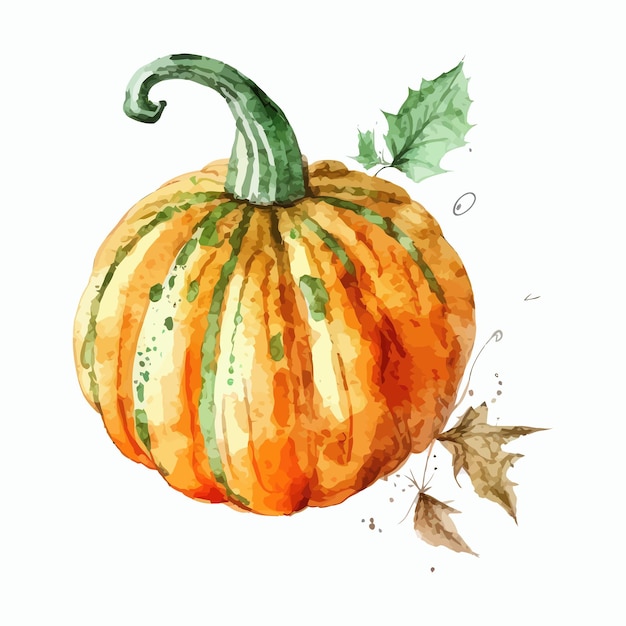 Aquarel hand getrokken schets Happy Thanksgiving Pumpkin Handgetekende illustratie geïsoleerd op een witte achtergrond in boho-stijl