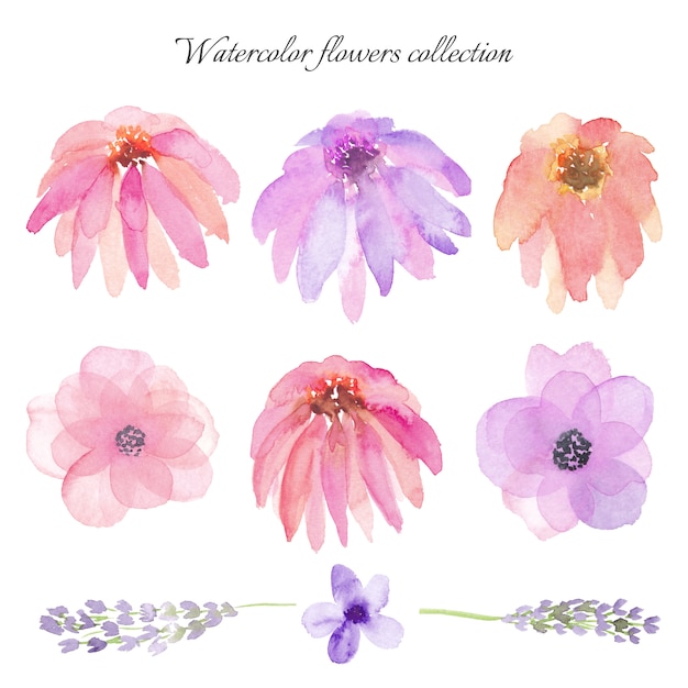 Aquarel hand tekenen bloemen set