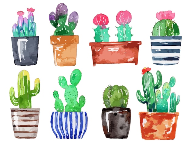 Aquarel handgeschilderde cactus set