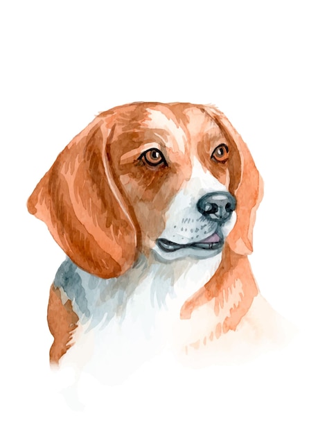 Vector aquarel handgeschilderde hond illustratie