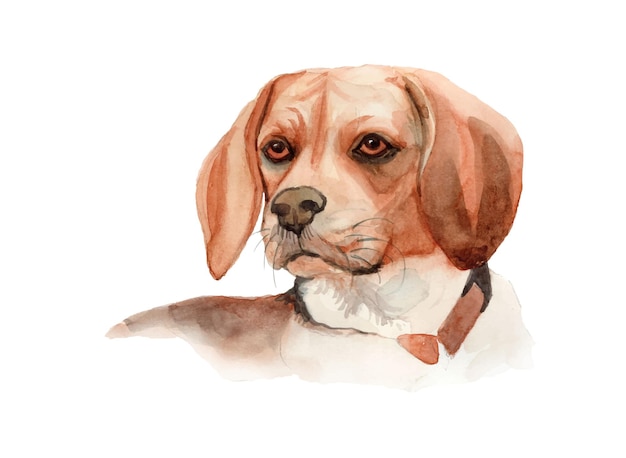 Aquarel handgeschilderde hond illustratie