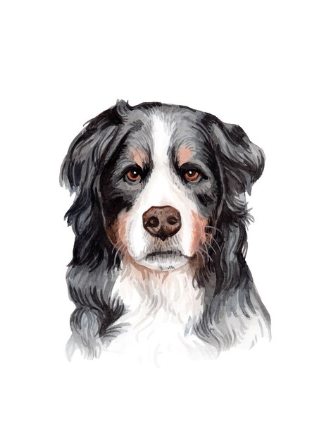 Aquarel handgeschilderde hond portret