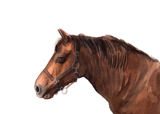 Vector aquarel handgeschilderde paard