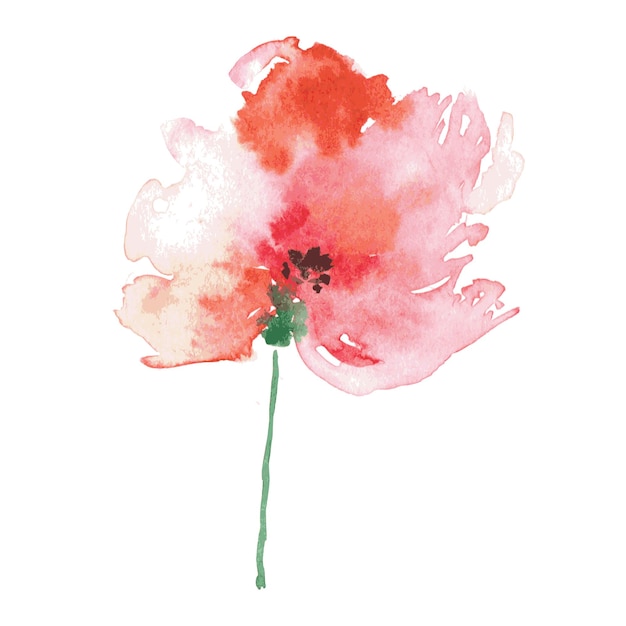 Aquarel handgeschilderde rode papaver Vector bloemen achtergrond Aquarel vintage illustratie