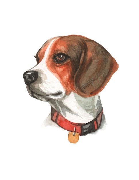 Aquarel handgeschilderde schattige hond illustratie