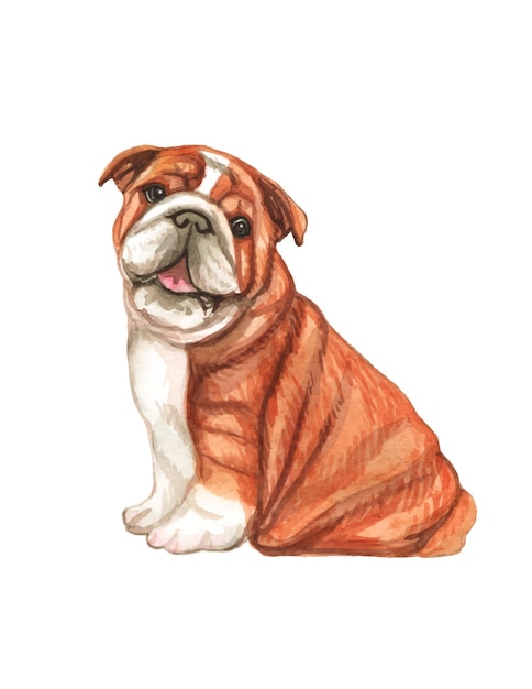 Aquarel handgeschilderde schattige hond illustratie