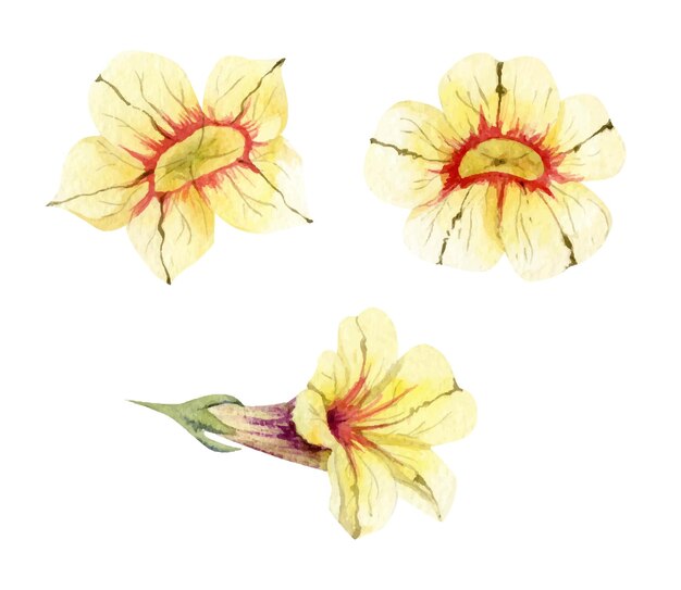 Aquarel handgetekende herfst bloemen takken en bladeren