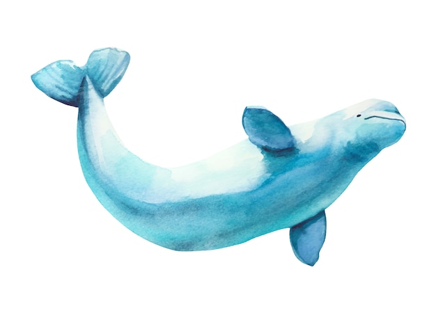 Aquarel handgetekende witte beluga illustratie.