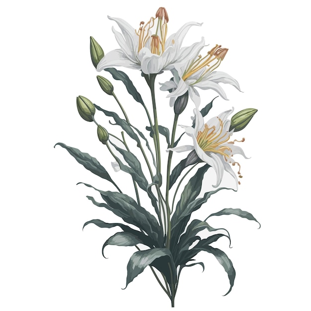 Aquarel Henrys Lily Clipart bloemen boeket bloem