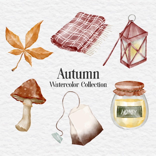 aquarel herfst clip art collectie set illustratie