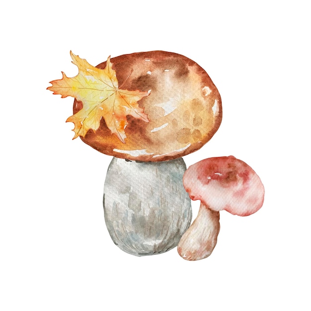 Aquarel herfst compositie met paddenstoelen en herfst geel blad. Illustratie voor uitnodigingen, typografie, print en andere ontwerpen.