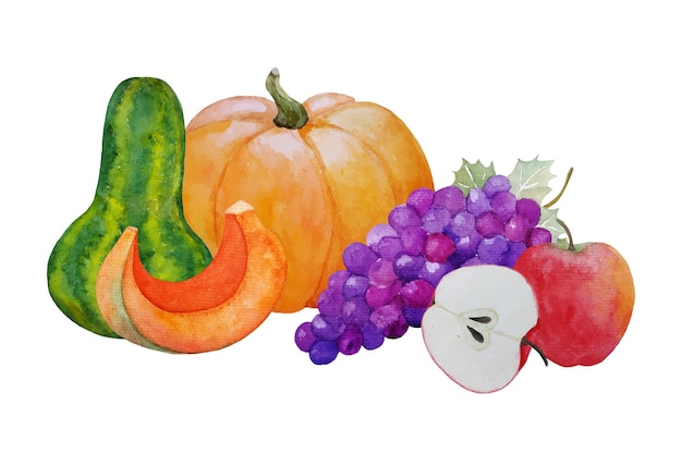 Vector aquarel herfst compositie met pompoenen, appels en druiven, handgeschilderde vectorillustratie