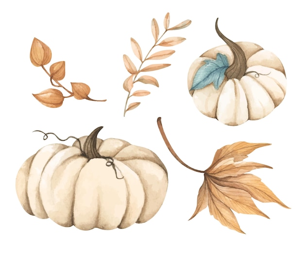 Aquarel herfst elementen collectie