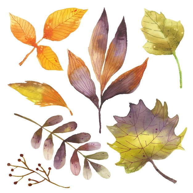 Aquarel herfstbladeren