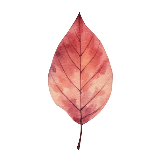 Aquarel herfstbladeren