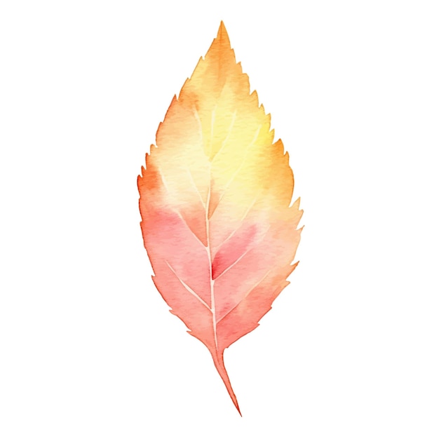 Aquarel herfstbladeren