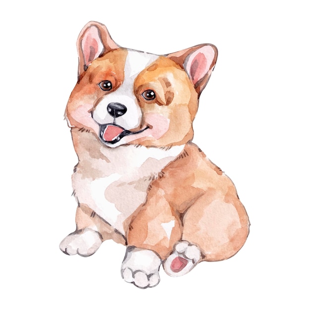 Aquarel hond corgi