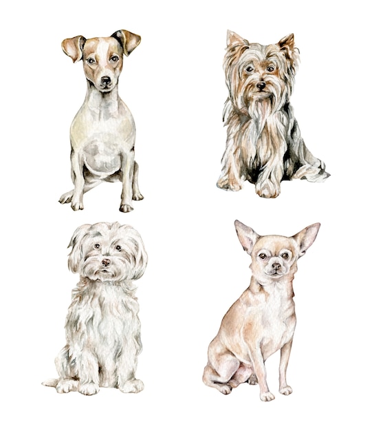 Aquarel honden collectie