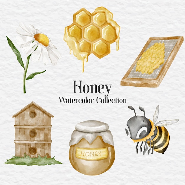 Vector aquarel honing en bijen collectie set illustraties
