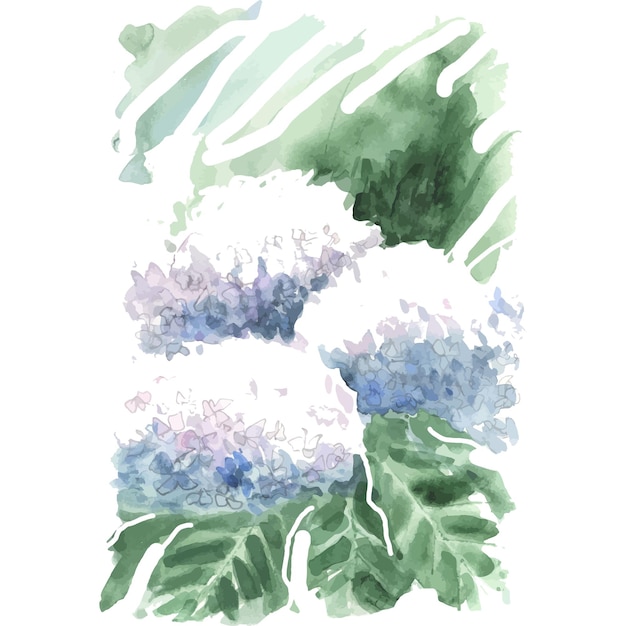 Aquarel hortensia bloem geïsoleerd op een witte achtergrond Hand tekening illustratie Voor vakantie