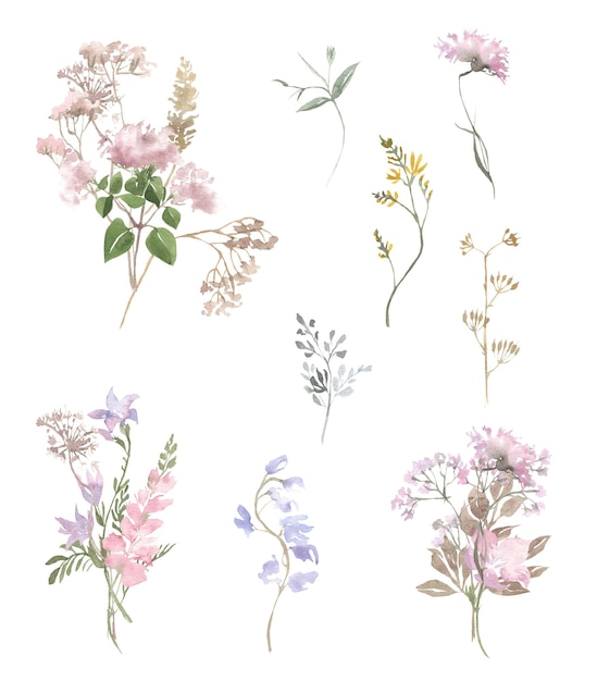 Aquarel illustratie delicate wilde bloemen set