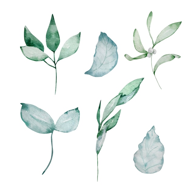 Aquarel illustratie takken met groene en blauwe bladeren