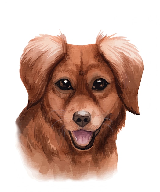 Vector aquarel illustratie van een populaire hondenras illustratie