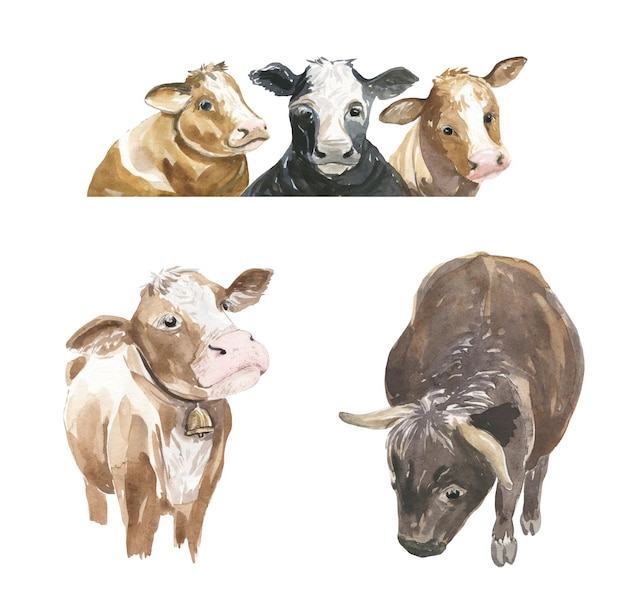 Aquarel illustratie van koeien